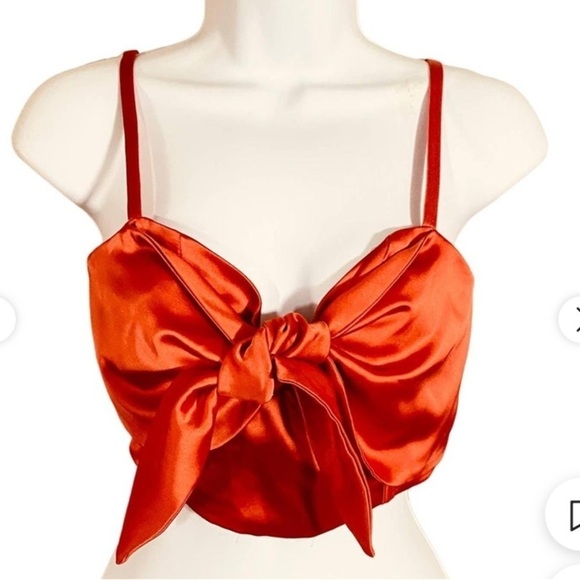 Sammy B for Target Other - 4X NWOT Target Sammy B Collab bustier orange/red satin underwire with tie front